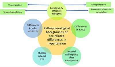 Sex differences in hypertension. Do we need a sex-specific guideline?